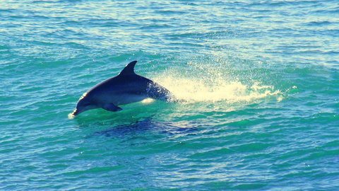 Mollymook Beach Waterfront - Schoolies Week Accommodation 22