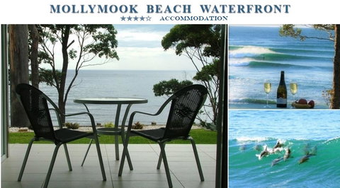 Mollymook Beach Waterfront - Schoolies Week Accommodation 1