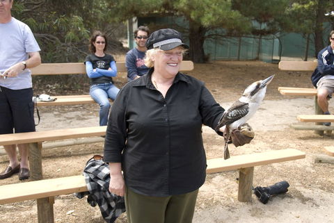 Acacia Apartments - Schoolies Week Accommodation 15