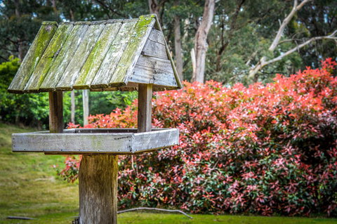 Ghost Hill Road Retreat - Schoolies Week Accommodation 17