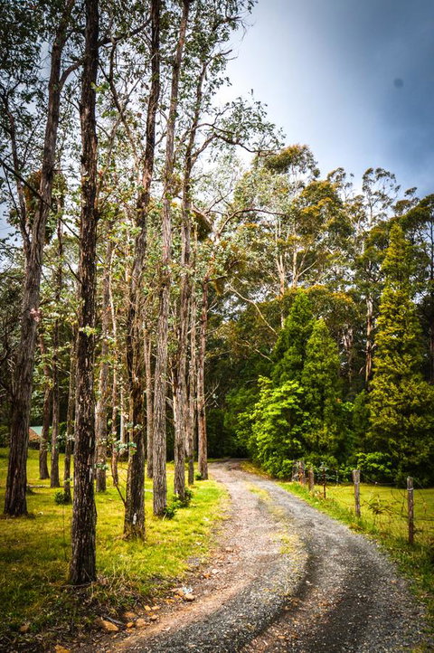 Ghost Hill Road Retreat - Schoolies Week Accommodation 14