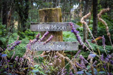 Ghost Hill Road Retreat - Schoolies Week Accommodation 15