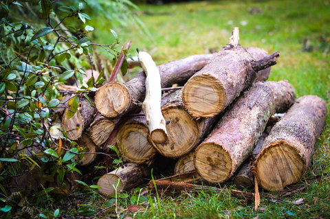 Ghost Hill Road Retreat - Schoolies Week Accommodation 19