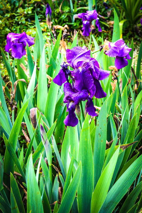 Ghost Hill Road Retreat - Schoolies Week Accommodation 22