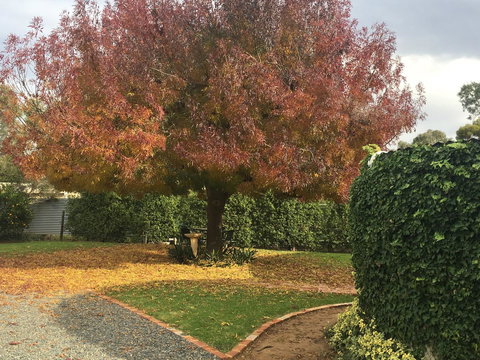 Barossa Retro BnB - Schoolies Week Accommodation 30