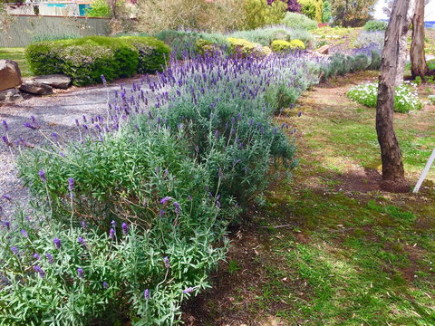 Barossa Retro BnB - Schoolies Week Accommodation 23