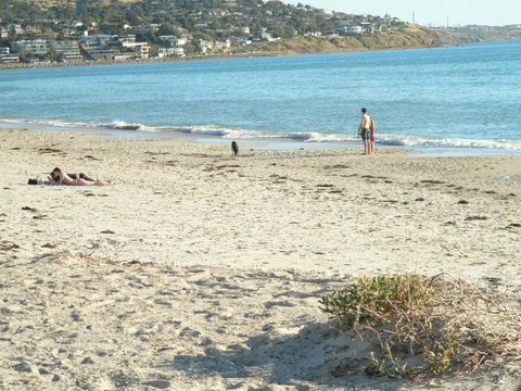Brighton Beach House - Schoolies Week Accommodation 12