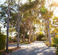 Modra's Apartments - Schoolies Week Accommodation