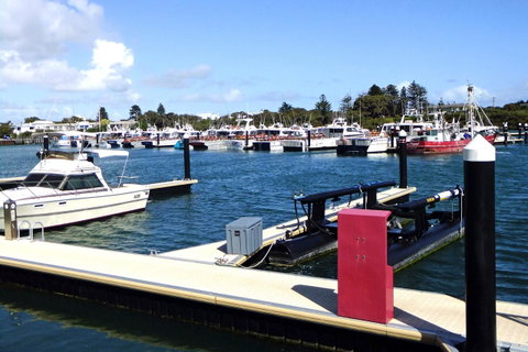 Robetown Motor Inn & Apartments - Schoolies Week Accommodation 9