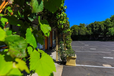 Country Roads Motor Inn Naracoorte - Schoolies Week Accommodation 16