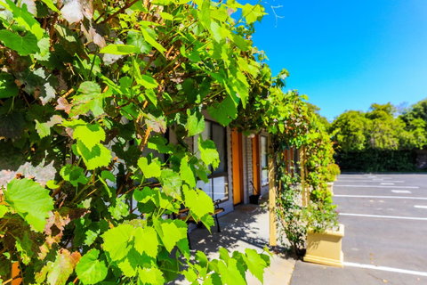 Country Roads Motor Inn Naracoorte - Schoolies Week Accommodation 18