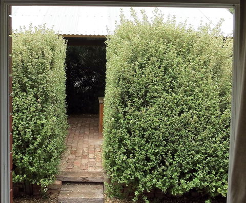 A2@Port Willy - Schoolies Week Accommodation 13