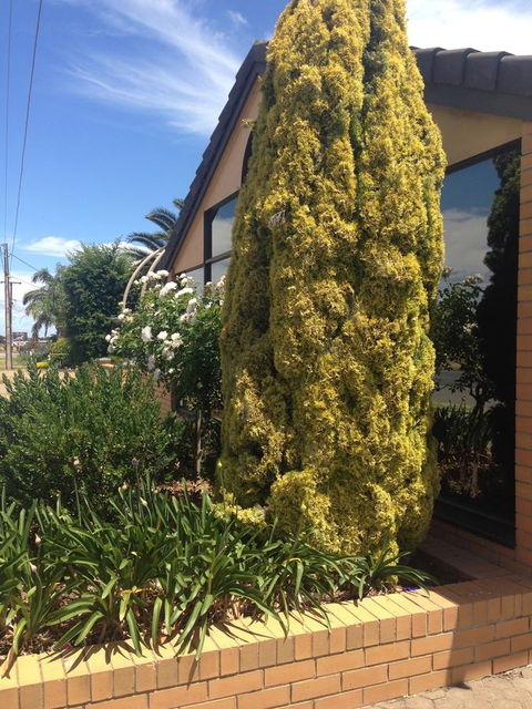 Aviators Lodge - Schoolies Week Accommodation 9