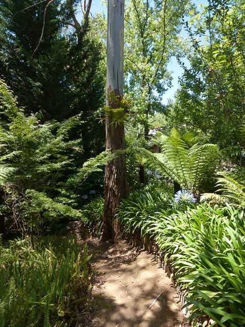 Aldgate Creek Cottage Bed And Breakfast - Schoolies Week Accommodation 27