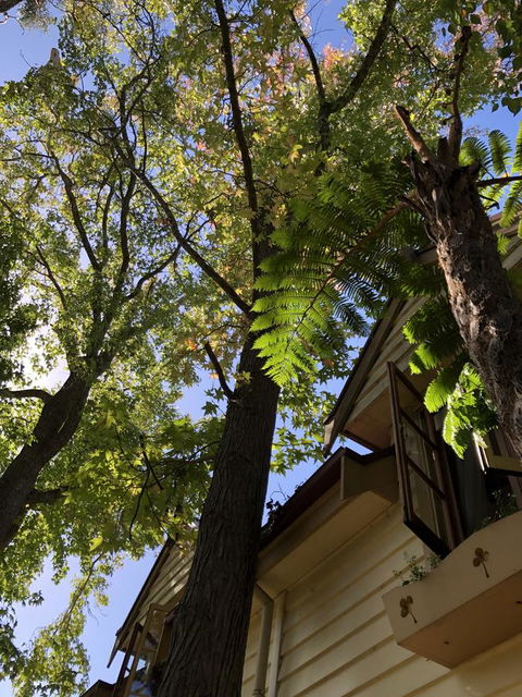 Aldgate Creek Cottage Bed And Breakfast - Schoolies Week Accommodation 8