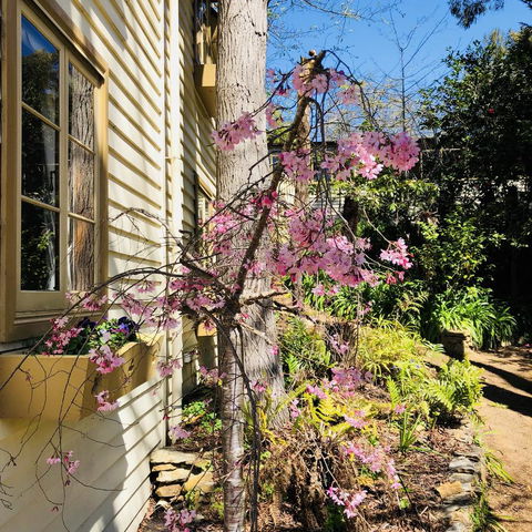 Aldgate Creek Cottage Bed And Breakfast - Schoolies Week Accommodation 19