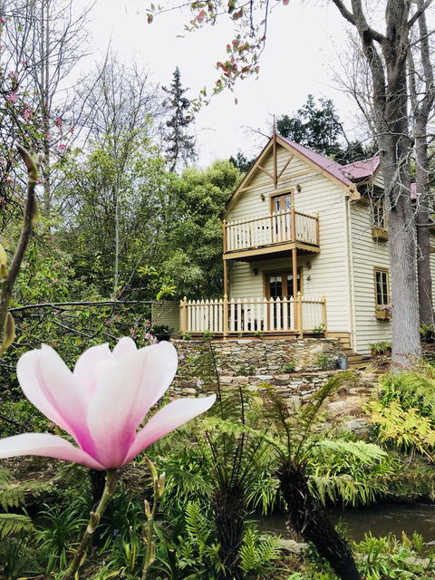 Aldgate Creek Cottage Bed And Breakfast - Schoolies Week Accommodation 6