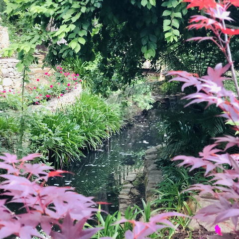 Aldgate Creek Cottage Bed And Breakfast - Schoolies Week Accommodation 21