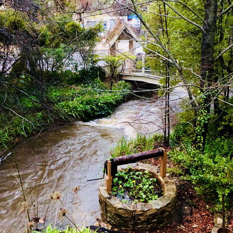 Aldgate Creek Cottage Bed And Breakfast - Schoolies Week Accommodation 23