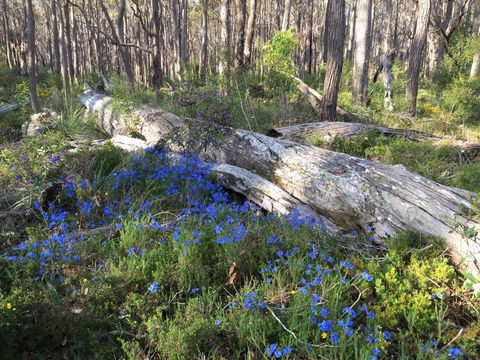 Simala Retreat - Schoolies Week Accommodation 1