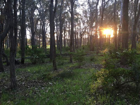 Simala Retreat - Schoolies Week Accommodation 4