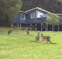 Blue House Denmark - Schoolies Week Accommodation