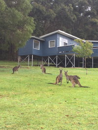 Book Denmark Accommodation Vacations Schoolies Week Accommodation Schoolies Week Accommodation