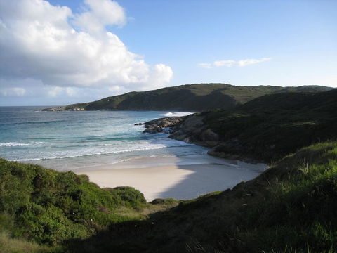 Albany Motel & Apartments - Schoolies Week Accommodation 23