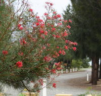 The Heights Bed  Breakfast - Schoolies Week Accommodation