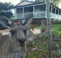 Bush  Bay Cottage - Schoolies Week Accommodation