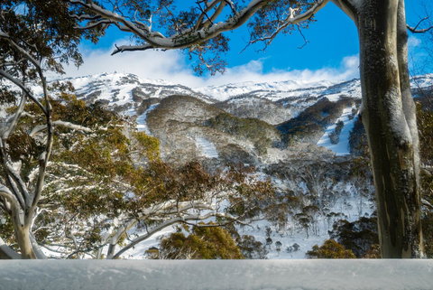 Pure Chalet Thredbo - Schoolies Week Accommodation 17