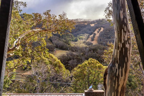 Pure Chalet Thredbo - Schoolies Week Accommodation 35