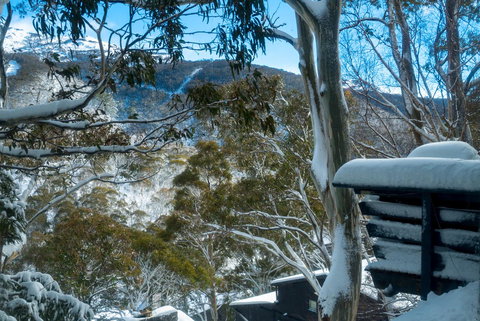 Pure Chalet Thredbo - Schoolies Week Accommodation 30