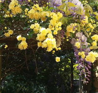 Bowral Road Bed and Breakfast - Schoolies Week Accommodation