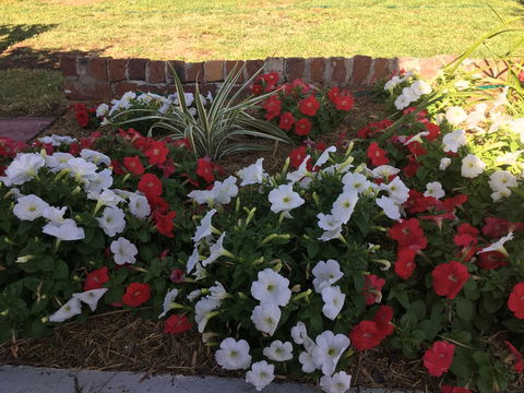 Bryants Motel - Schoolies Week Accommodation 3