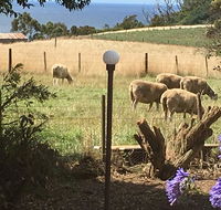Cape View B and B - Schoolies Week Accommodation