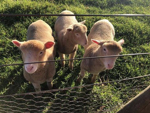 Cape View B And B - Schoolies Week Accommodation 3