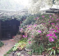 Charming country house close to Grafton - Schoolies Week Accommodation