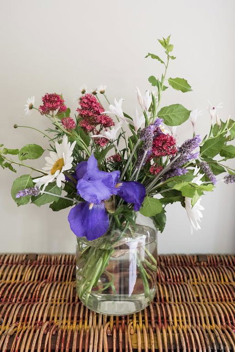 Clonmara Country House And Cottages - Schoolies Week Accommodation 3