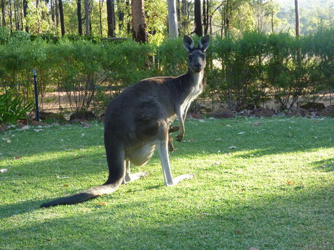 Country Charm Retreat B&B - Schoolies Week Accommodation 2