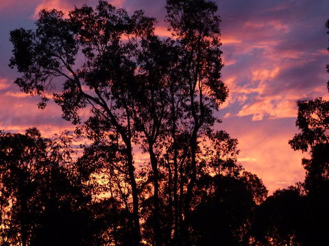 Country Charm Retreat B&B - Schoolies Week Accommodation 1