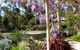 Country Charm Retreat B&B - thumb 0