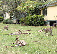 Depot Beach Cabins - Schoolies Week Accommodation