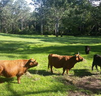 Dingley Dell - Schoolies Week Accommodation