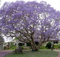 Ecotel Narooma - Schoolies Week Accommodation