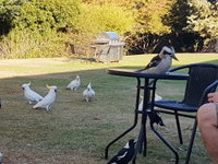 Eildon Parkview Motor Inn