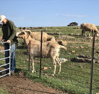 Gilgraves Vineyard Farmstay - Schoolies Week Accommodation