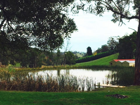 Gracefield Estate - Schoolies Week Accommodation 0