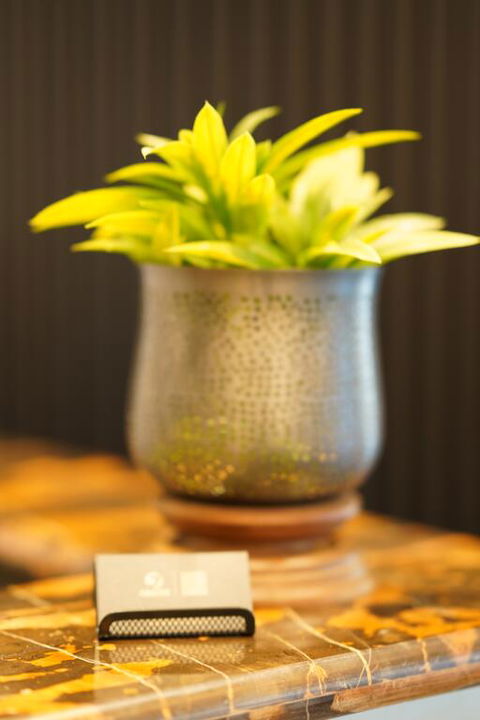 Jephson Hotel & Apartments - Schoolies Week Accommodation 3