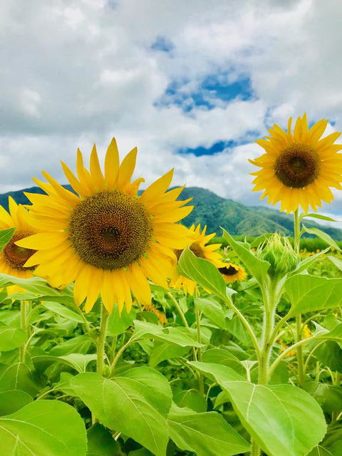 JJs Backpackers Hostel - Schoolies Week Accommodation 3